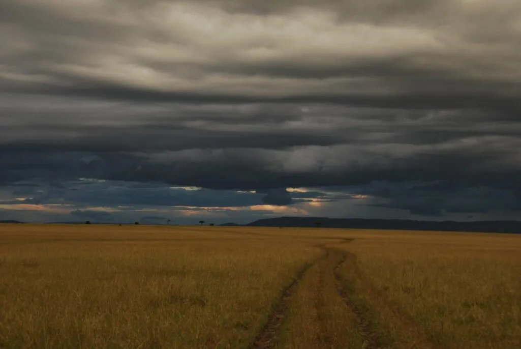 Early morning on the plains of Tsavo National Park, Kenya